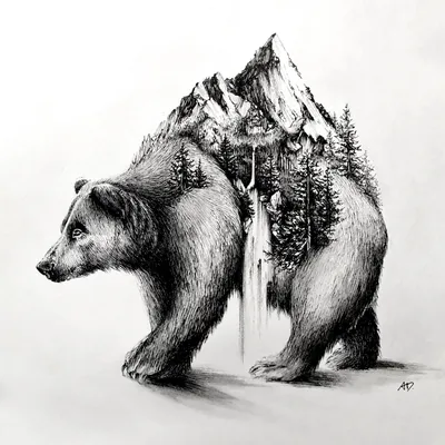 Медведь в лесу на фото: различные размеры для выбора загрузки