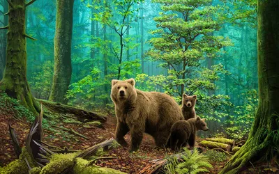 Впечатляющий медведь в лесу на фото: выберите размер и формат для скачивания