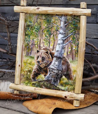 Фото медведя в лесу: разные размеры и форматы для выбора загрузки
