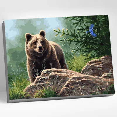 Уникальное фото медведя в лесу: скачать png изображение бесплатно