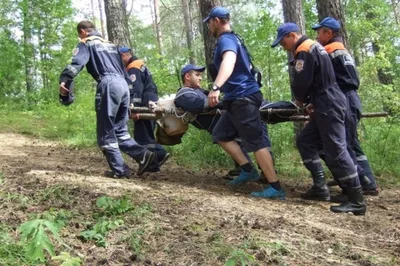 Фото опасной встречи: медведь задирает человека