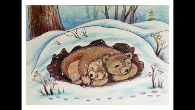 Фото медведя в снежной покрывале