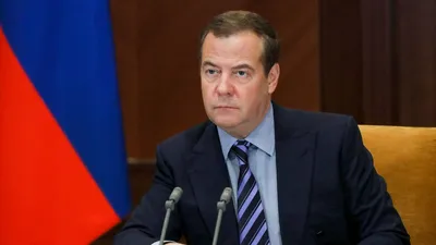Качественные фото Медведя Медведева Д.А. для вашего проекта