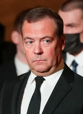 Медведев Дмитрий Анатольевич: великий политик на фото