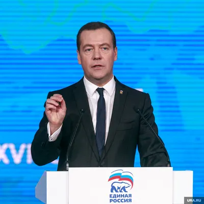 Фото Медведев испортил: качественные изображения для скачивания