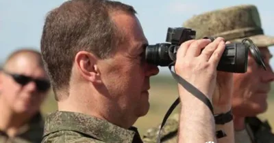 Медведи в объективе: неповторимые кадры Медведева