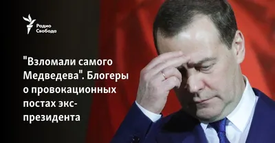 Изображение Медведев пьяный для стильных обоев