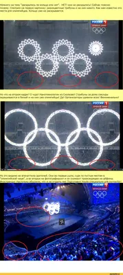 Фотографии Медведева, спящего на олимпиаде, в хорошем качестве