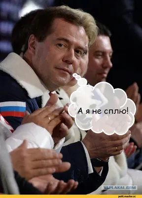 Медведев спит на олимпиаде, в формате jpg