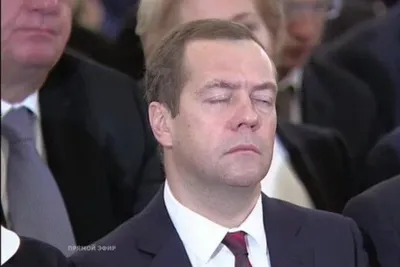 Медведев спит фотографии