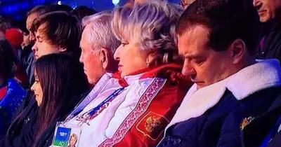 Медведев спит фотографии
