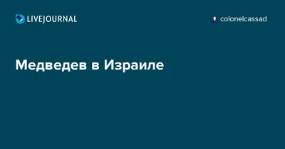 Медведев в Израиле: скачать бесплатно прекрасные изображения (jpg)