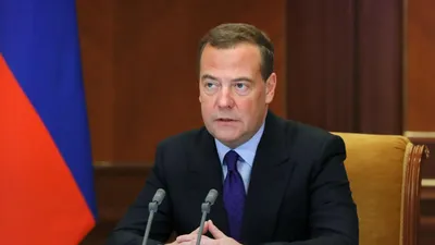 Медведев: мощь и грация на фотографиях