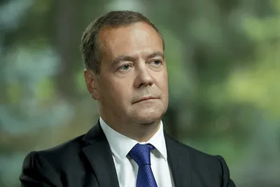 Медведев и его мир: красивые фото для вашего веб-сайта