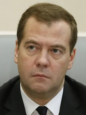 Медведев на фото: насладитесь его великолепием