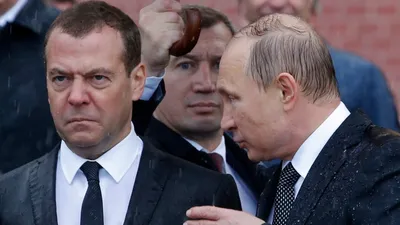Медведева под дождем фотографии