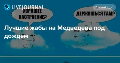 Медведева под дождем: атмосферные снимки для фона или обоев