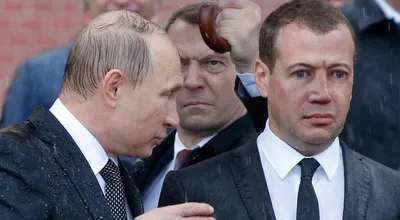 Фото Медведева под дождем: загрузите png изображения высокого качества