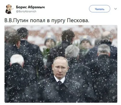 Медведева под дождем: скачивайте изображения в хорошем качестве