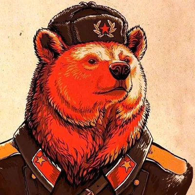 Фото медведя на аву - выбор для ярких обоев