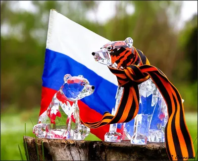 Медведя на фоне российского флага фотографии