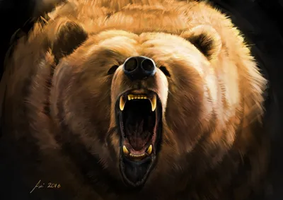 Медведь на заставку для экрана