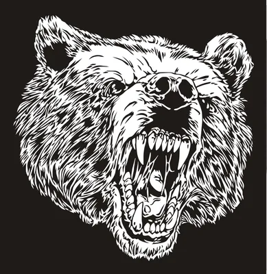 Картинка медведя: png формат