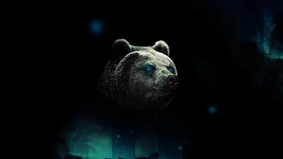 Медведи на заставке: изображение бесплатно