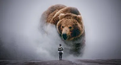 Медведи на фоне: webp формат