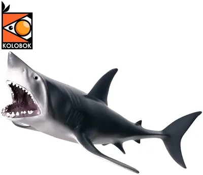 Купить Акула Мегалодон Megalodon Toy Prehistoric Animals Shark Toys, цена  659 ₴ — Prom.ua (ID#1196324388)