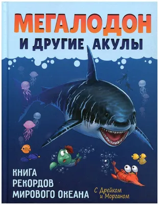 Мегалодон и другие акулы (Егорова С. Е.) — купить в интернет-магазине по  низкой цене на Яндекс Маркете