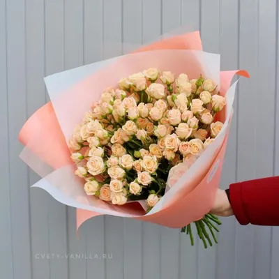Кустовые мелкие розы, популярные сорта, как составлять букет — Читайте в  блоге «Городской Базы Цветов»