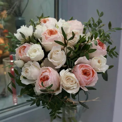 Роза — Википедия