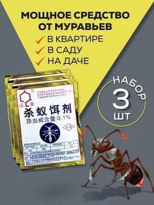 Надежный способ избавиться от ненавистных муравьев в квартире