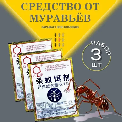 Как бороться с муравьями? И надо ли?: Общество: Облгазета