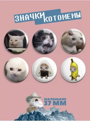 3д стикеры / Наклейки на телефон Мемные коты - купить с доставкой по  выгодным ценам в интернет-магазине OZON (1026886038)