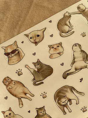 Картина Мемные Котики - p53831 | RedPandaShop.