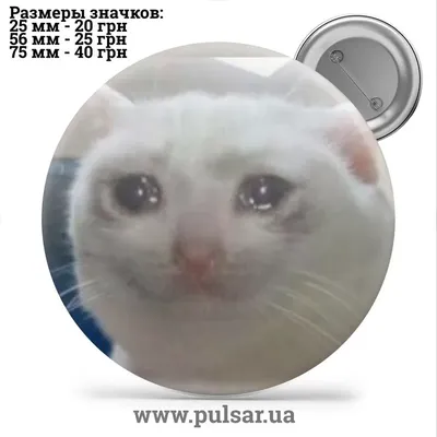 Какой ты мемный кот? — Яндекс Игры