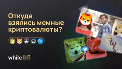Ловите мемные ситуации от наших комиков. Больше крутых мемов в посте 🤣  #standup #стендап #standupvcube #стендапвкубе #standupminsk… | Instagram