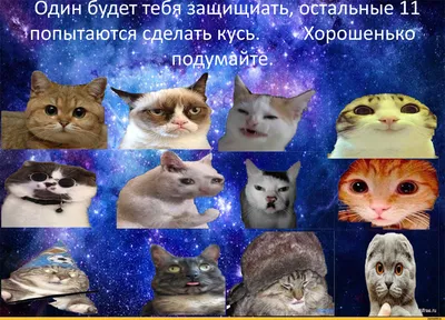 Ловите мемные ситуации от наших комиков. Больше крутых мемов в посте 🤣  #standup #стендап #standupvcube #стендапвкубе #standupminsk… | Instagram