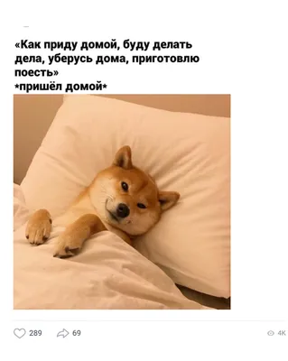 ВКонтакте назвала главные мемы года: в топе — нашумевшая аниме-нейросеть,  Мистер Исключительный и маленький чёрный котёнок | Блог ВКонтакте |  ВКонтакте