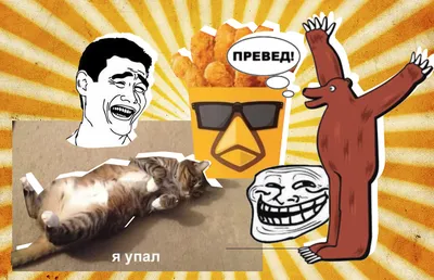 Самые Милые и Смешные Мемы дня. 15 минут мемов с озвучкой. | Мемы Тут | Дзен
