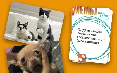 Как устроена индустрия мемов и можно ли на них заработать | РБК Стиль