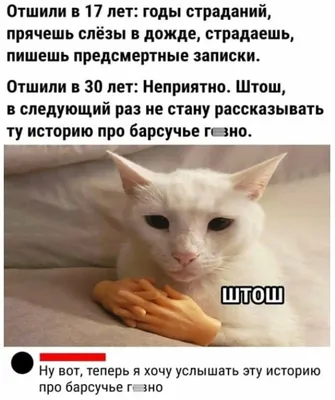 МЕМЫ 3: Котики и прочие нелюди – Настольные игры – магазин 22Games.net