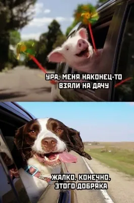 Смешные мемы о деньгах и их отсутствии | MAXIM
