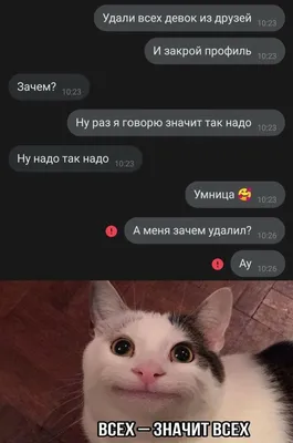 Мишени \"Мемы\" купить в интернет-магазине VozWooden