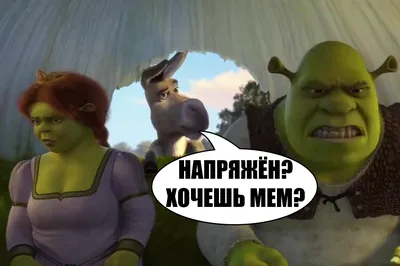 Подборка мемов про недвижимость: статья от 1 сентября 2022 | Novostroy.ru