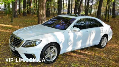 Mercedes W222 S500 (кузов белый, салон белый) - аренда с водителем в  Москве, цены