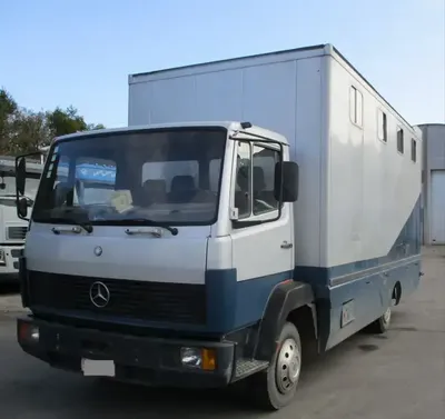 Mercedes-Benz 817 | Horse truck - TrucksNL