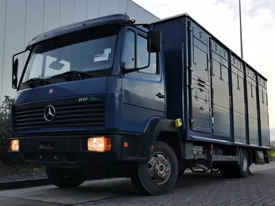 MERCEDES-BENZ 817 - Kleyn Trucks